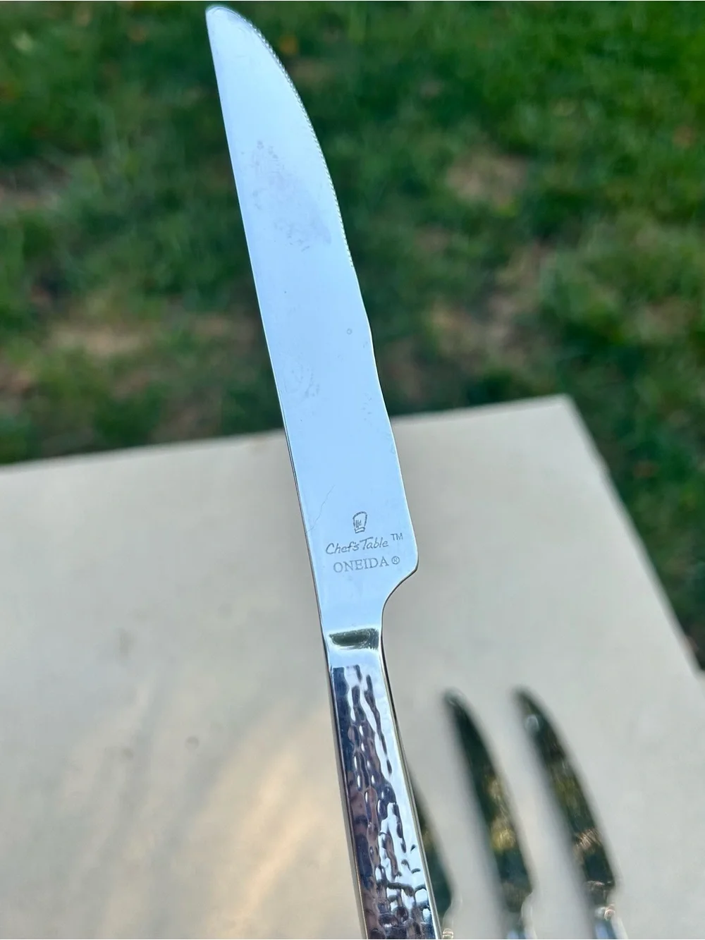 Oneida Chefs Table Hammered Stainless Steel Set of 4 Dinner Knives